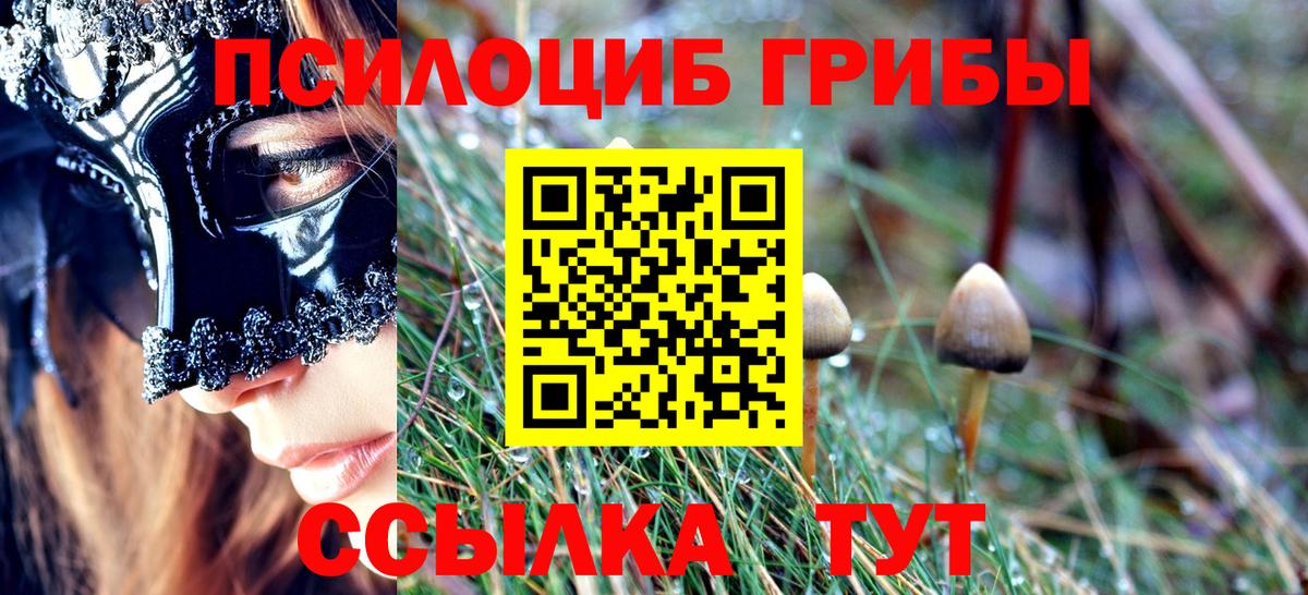 Галлюциногенные грибы Psilocybine cubensis  Галлюциногенные грибы прущие грибы  Ноябрьск  Вход с VPN 