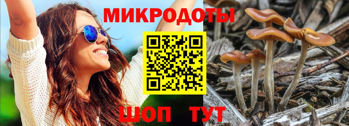 Псилоцибиновые грибы GOLDEN TEACHER Ноябрьск